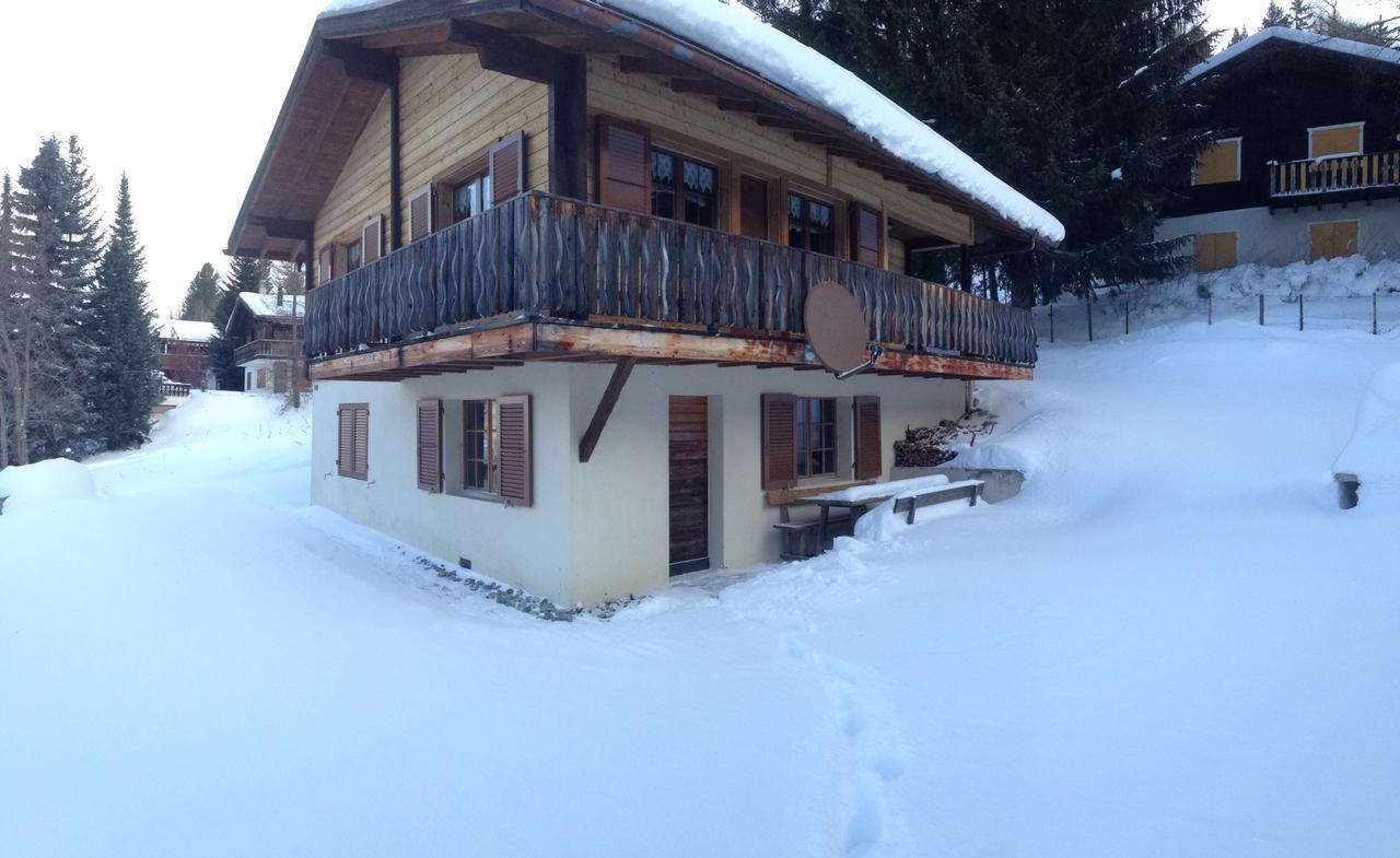 Chalet Gärlich Bürchen Exteriör bild